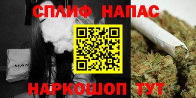 бошки Шелехов