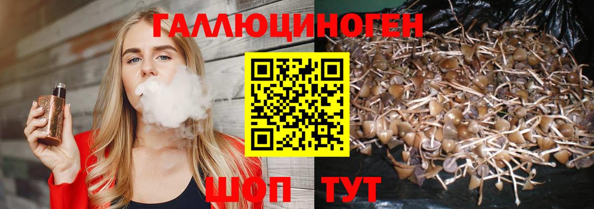 Псилоцибиновые грибы Cubensis  Псилоцибиновые грибы Psilocybe  Вход с VPN  Хабаровск 